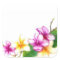 Plumeria sticker, Tropical theme flowers