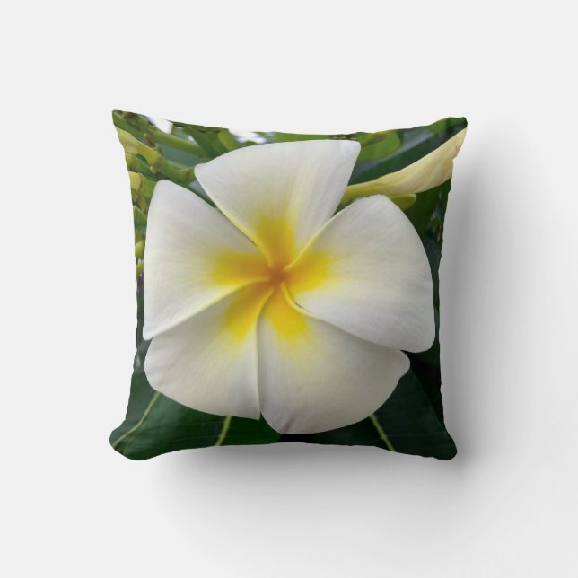 Plumeria Throw Pillow (Front)