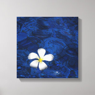 Plumeria White Flower Floral Patterned Canvas Print