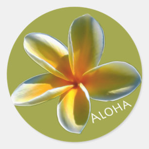 Plumeria with Aloha Classic Round Sticker
