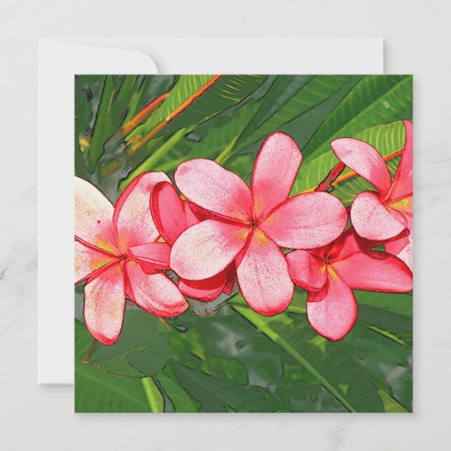 Plumerias Card (Front)