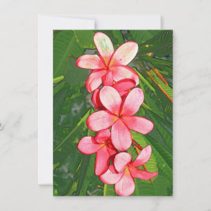 Plumerias  card
