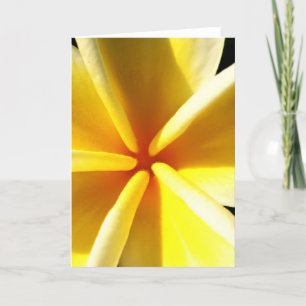 Plumerias Holiday Card