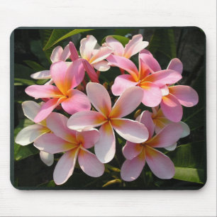 Plumerias in Bloom Mouse Mat