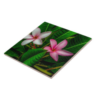 Plumerias in White and Pink Ceramic Tile