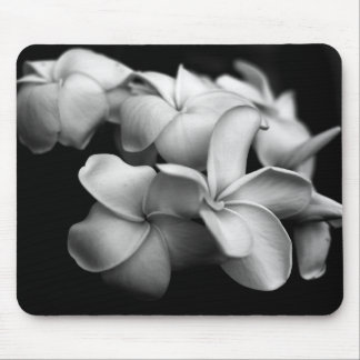 Plumerias Mouse Mat
