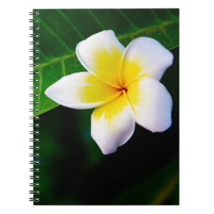 Plumerias Notebook