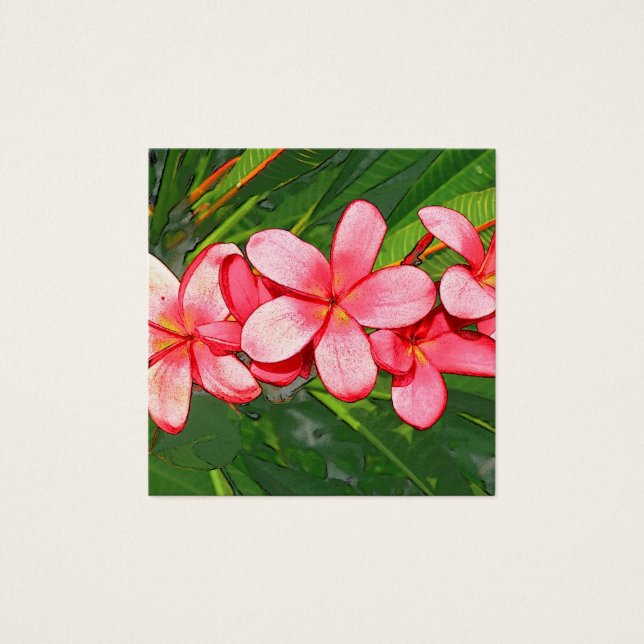 Plumerias pink  (Front)