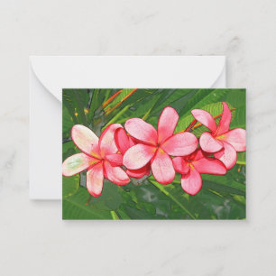 Plumerias pink card