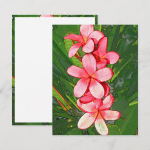 Plumerias pink  card