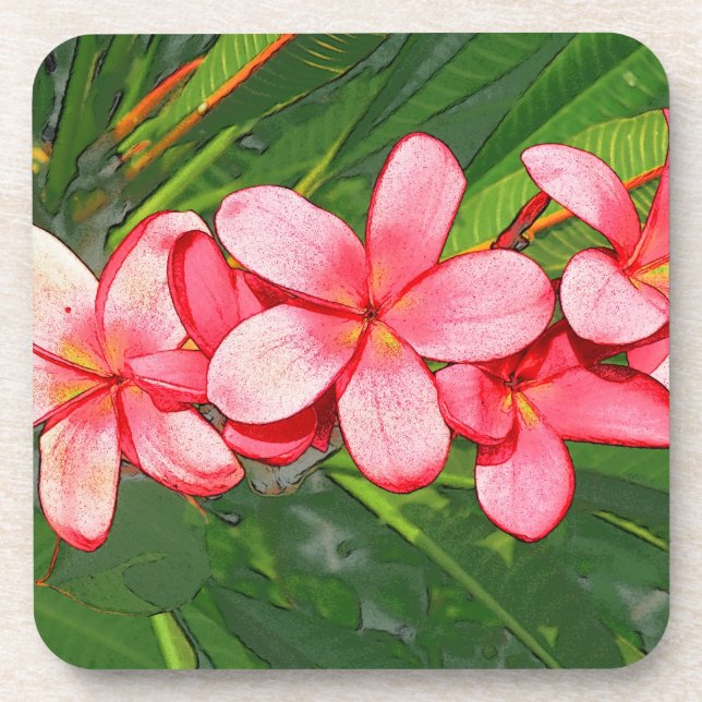 Plumerias pink coaster (Front)