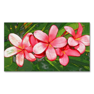 Plumerias pink Magnetic business card