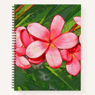 Plumerias pink notebook