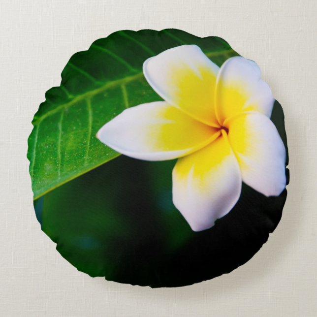 Plumerias Round Cushion (Front)