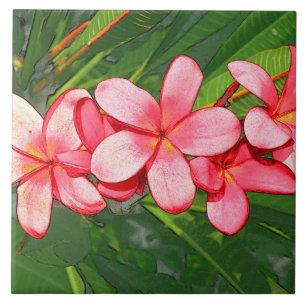 Plumerias Tile