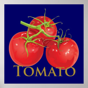 Plump Red Tomatoes Poster