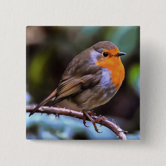 Plump Robin Perched On A Branch Wildlife Art 15 Cm Square Badge