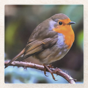 Plump Robin Perched On A Branch Wildlife Art Glass Coaster