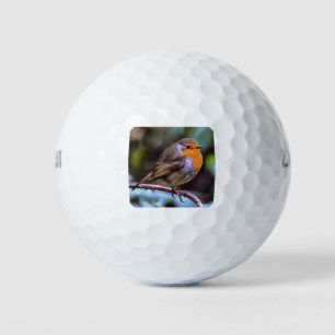 Plump Robin Perched On A Branch Wildlife Art Golf Balls