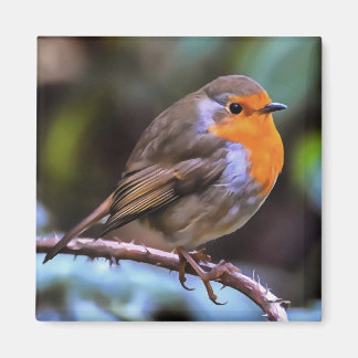 Plump Robin Perched On A Branch Wildlife Art Magnet