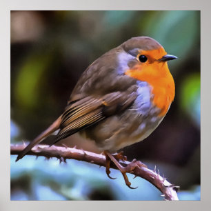 Plump Robin Perched On A Branch Wildlife Art Poster