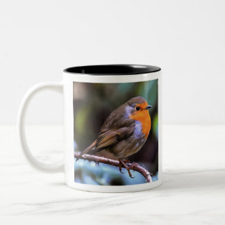 Plump Robin Perched On A Branch Wildlife Art Two-Tone Coffee Mug