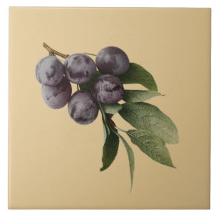 Plums Botanical~Kitchen ~Pick Any Colour Tile