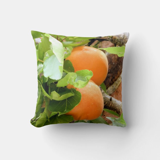 PLUMS CUSHION (Front)
