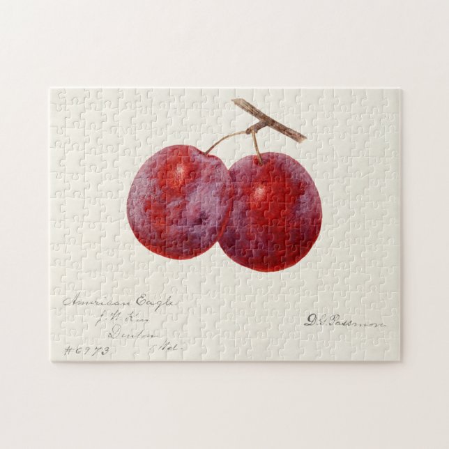 Plums (Prunus Domestica) Fruit Watercolor Painting Jigsaw Puzzle (Horizontal)
