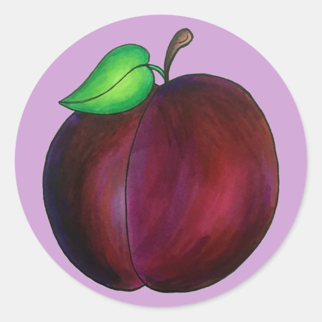 Plums Ripe Summer Purple Plum Fruit Illustration Classic Round Sticker (Front)