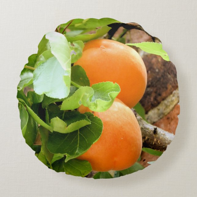 PLUMS ROUND CUSHION (Front)