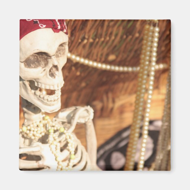 Plunder Party! Magnet (Front)