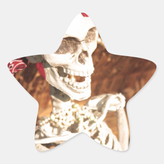PLUNDER PARTY! STAR STICKER (Front)