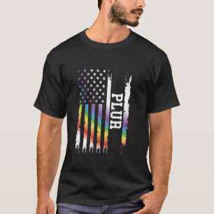 PLUR United States Distressed Rainbow w US Flag T-Shirt