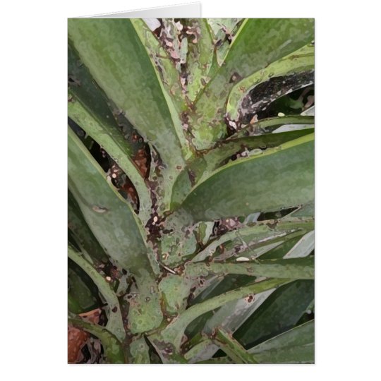 Plush Palm Card