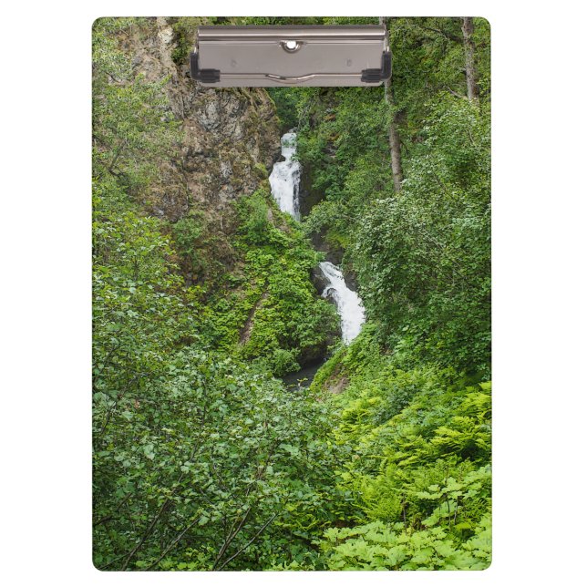 Plush Thunderbird Painterly Clipboard (Front)