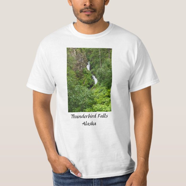 Plush Thunderbird Painterly T-Shirt (Front)