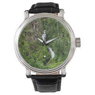 Plush Thunderbird Painterly Watch