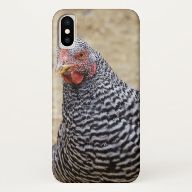 Plymouth Barred Rock Hen Photograph Case-Mate iPhone Case (Back)