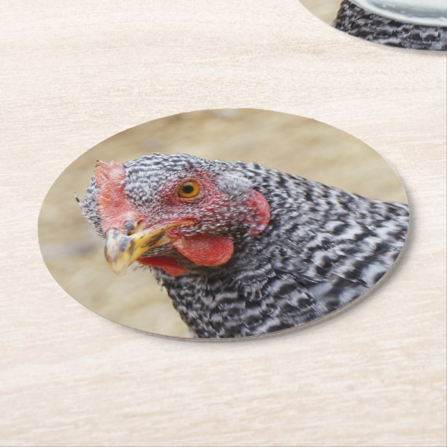 Plymouth Barred Rock Hen Photograph Round Paper Coaster (Angled)