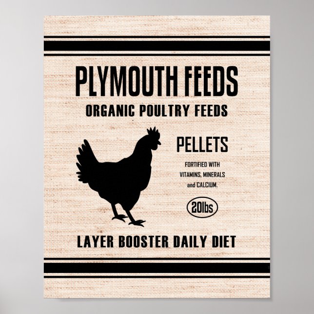 PLYMOUTH FEEDS POSTER (Front)