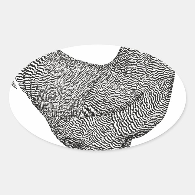 Plymouth Rock Chicken Drawing Oval Sticker (Front)