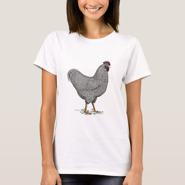 Plymouth Rock Chicken Drawing T-Shirt (Front)