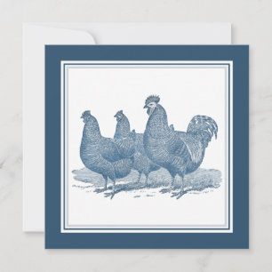 Plymouth Rock Chickens Antique Blue Rooster Hens Invitation