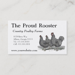 Plymouth Rock Chickens, Rooster Business Card