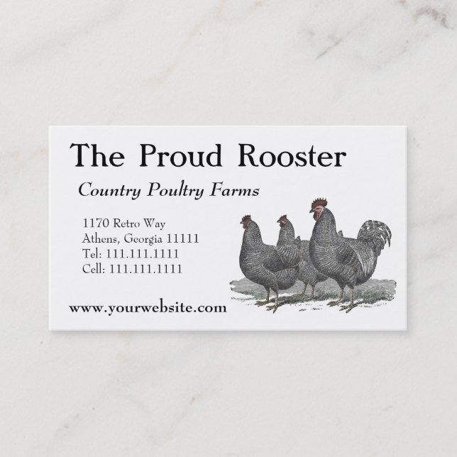 Plymouth Rock Chickens, Rooster Business Card (Front)