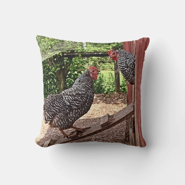 Plymouth Rock Hens Cushion (Front)
