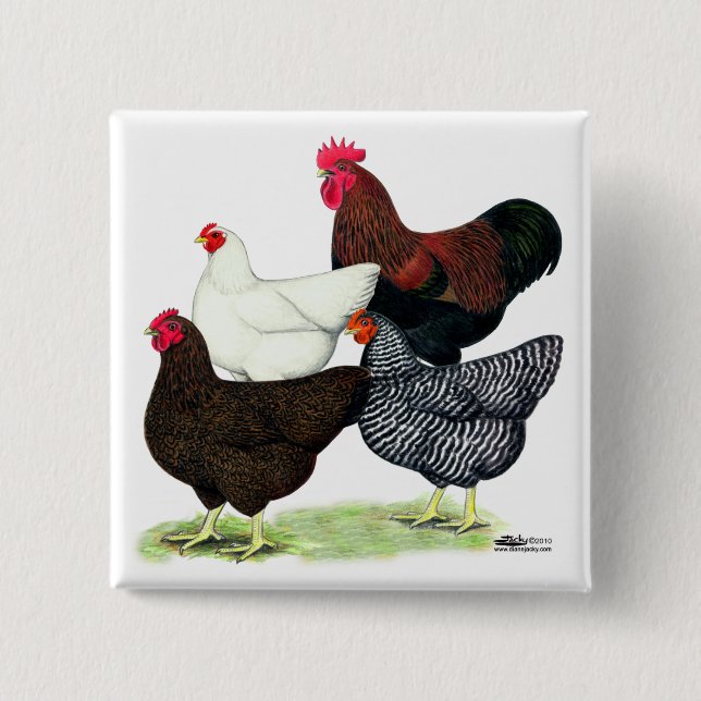 Plymouth Rock Quartet 15 Cm Square Badge (Front)