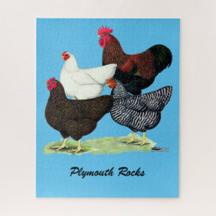 Plymouth Rock Quartet Jigsaw Puzzle