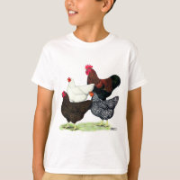 Plymouth Rock Quartet